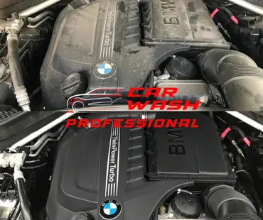 Миття двигуна Чайки